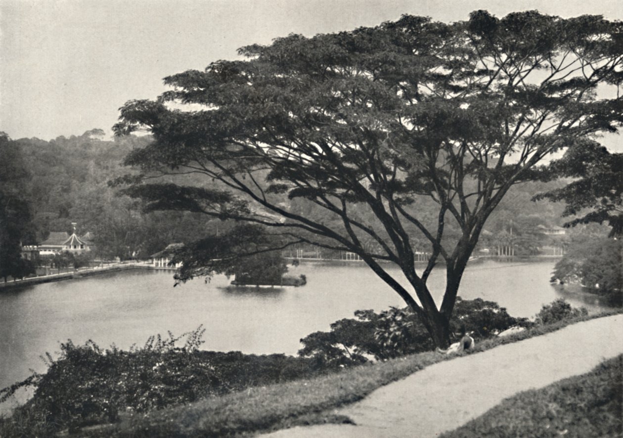 Göl, Kandy