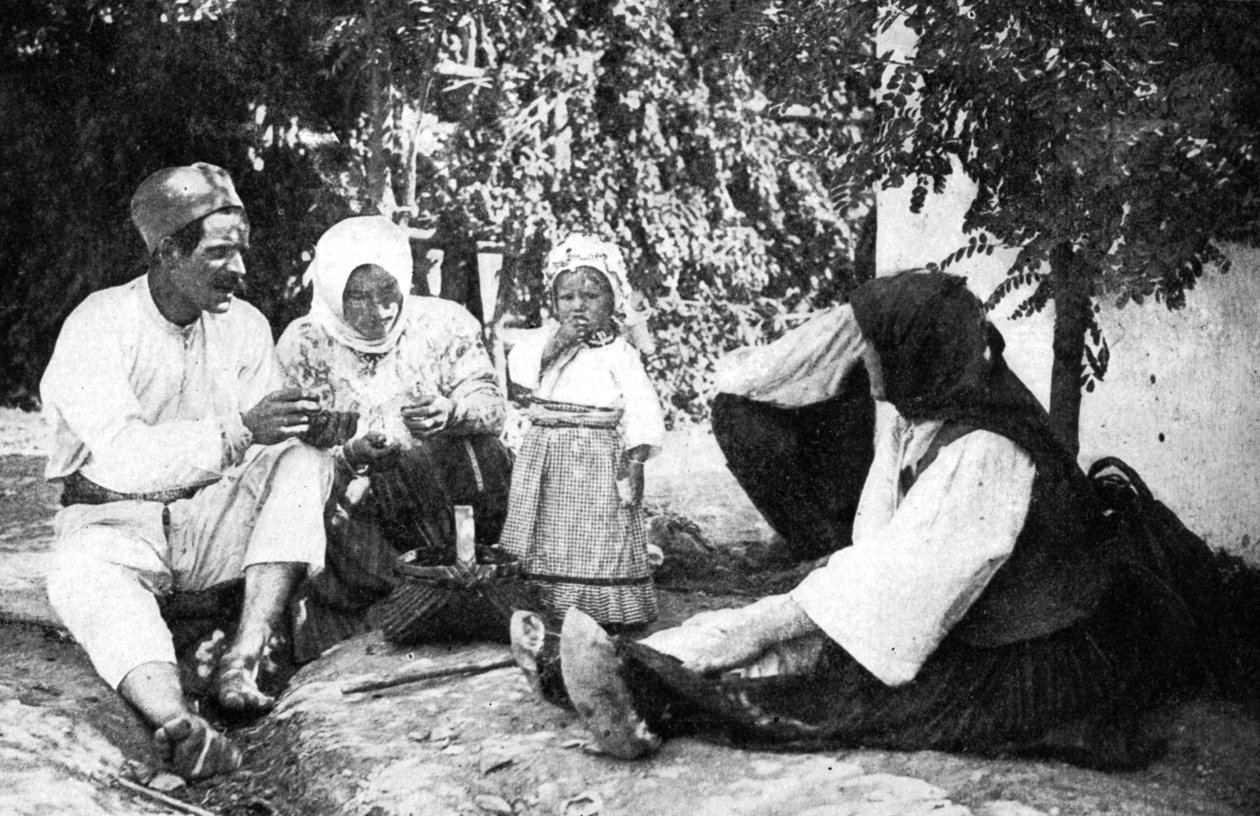 Avusturyalıları Bosna