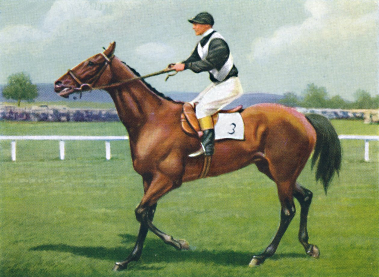 Shalfleet, Jokey: R. Perryman, 1939 by Unbekannt