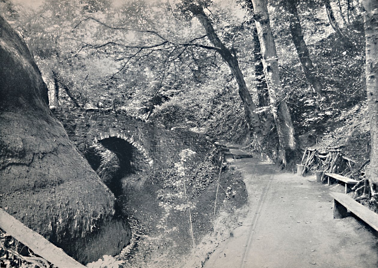 Shanklin - Çin, 1895 by Unbekannt