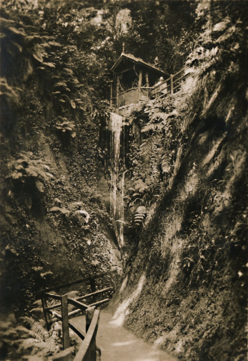 Shanklin Chine, I.W., c1920. by Unbekannt