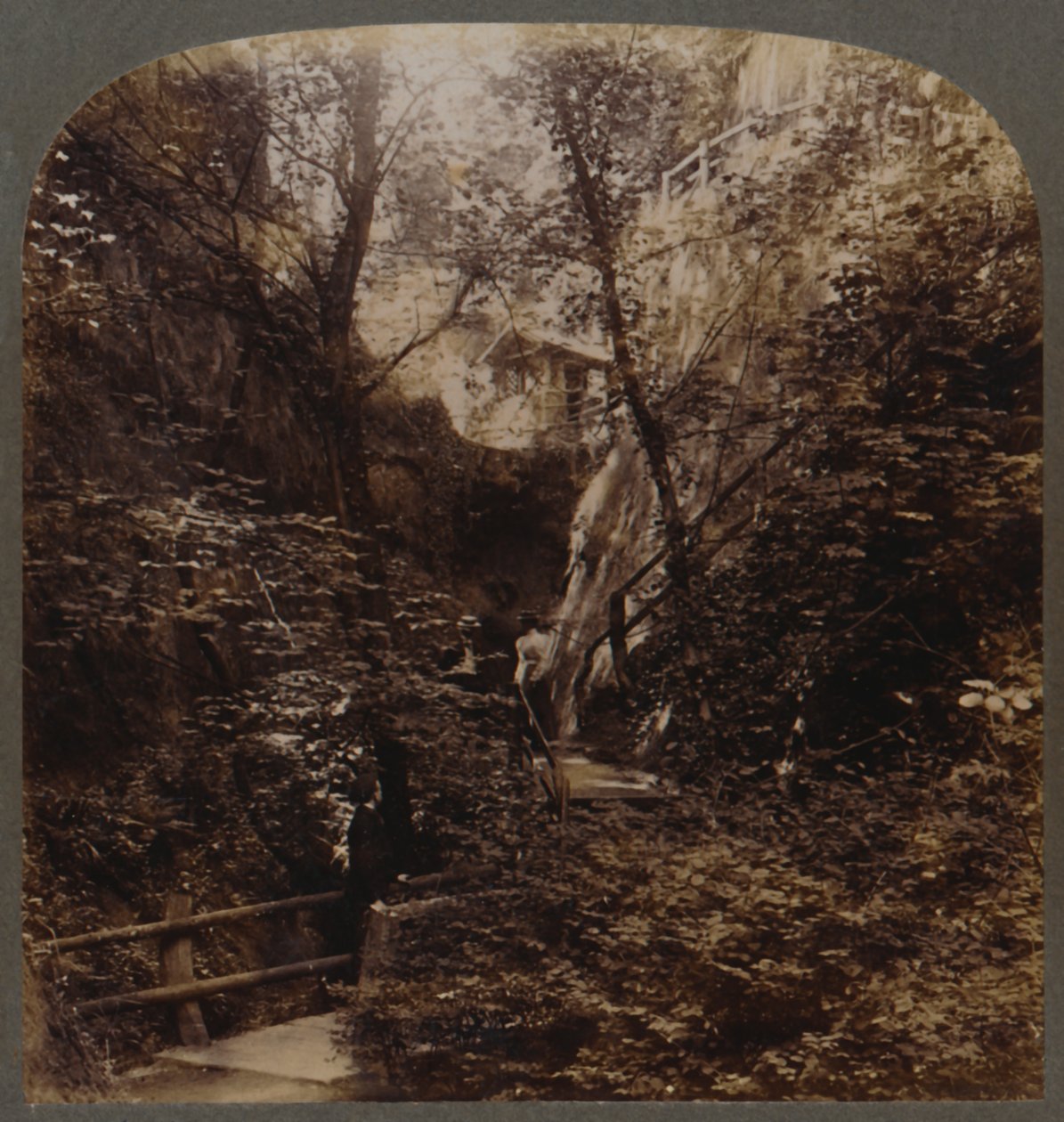 Dünya çapında üne sahip Shanklin Chine, Wight Adası, İngiltere, c1910. by Unbekannt