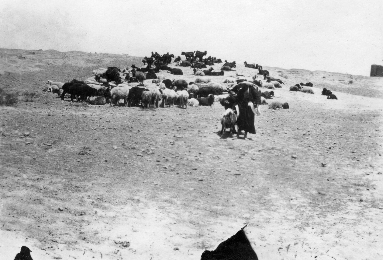 Samarra