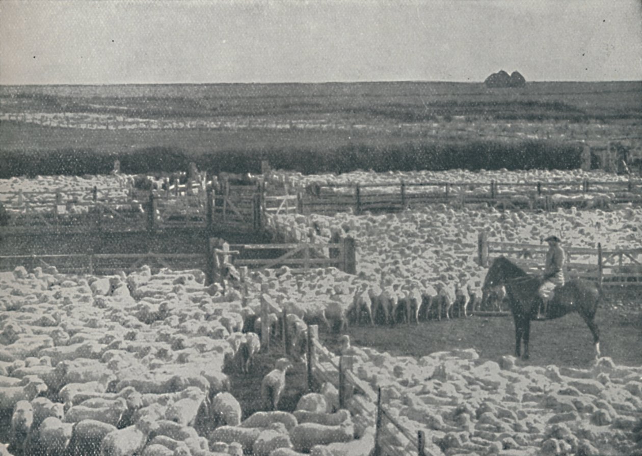 Avustralya