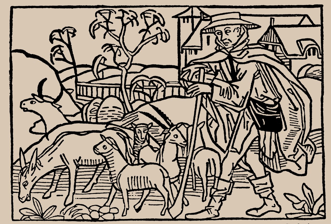 Çoban. İnsan Hayatının Aynasından Rodericus Zamorensis, 1479 by Unbekannt