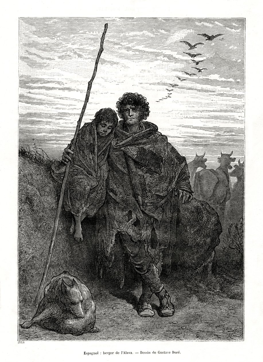 Alava Çobanı, İspanya, 1886 by Unbekannt