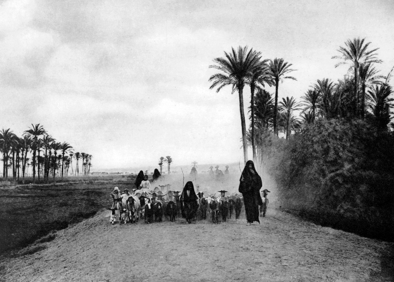 Kahire, Mısır, c1920