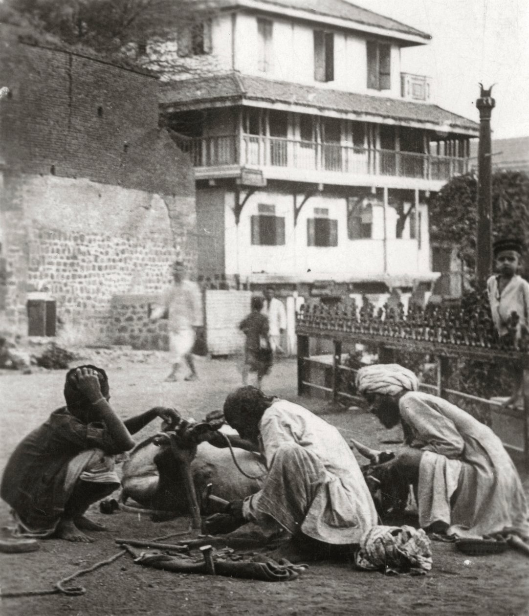 Bir öküzü nallamak, Hindistan, c1927-c1929 by Unbekannt