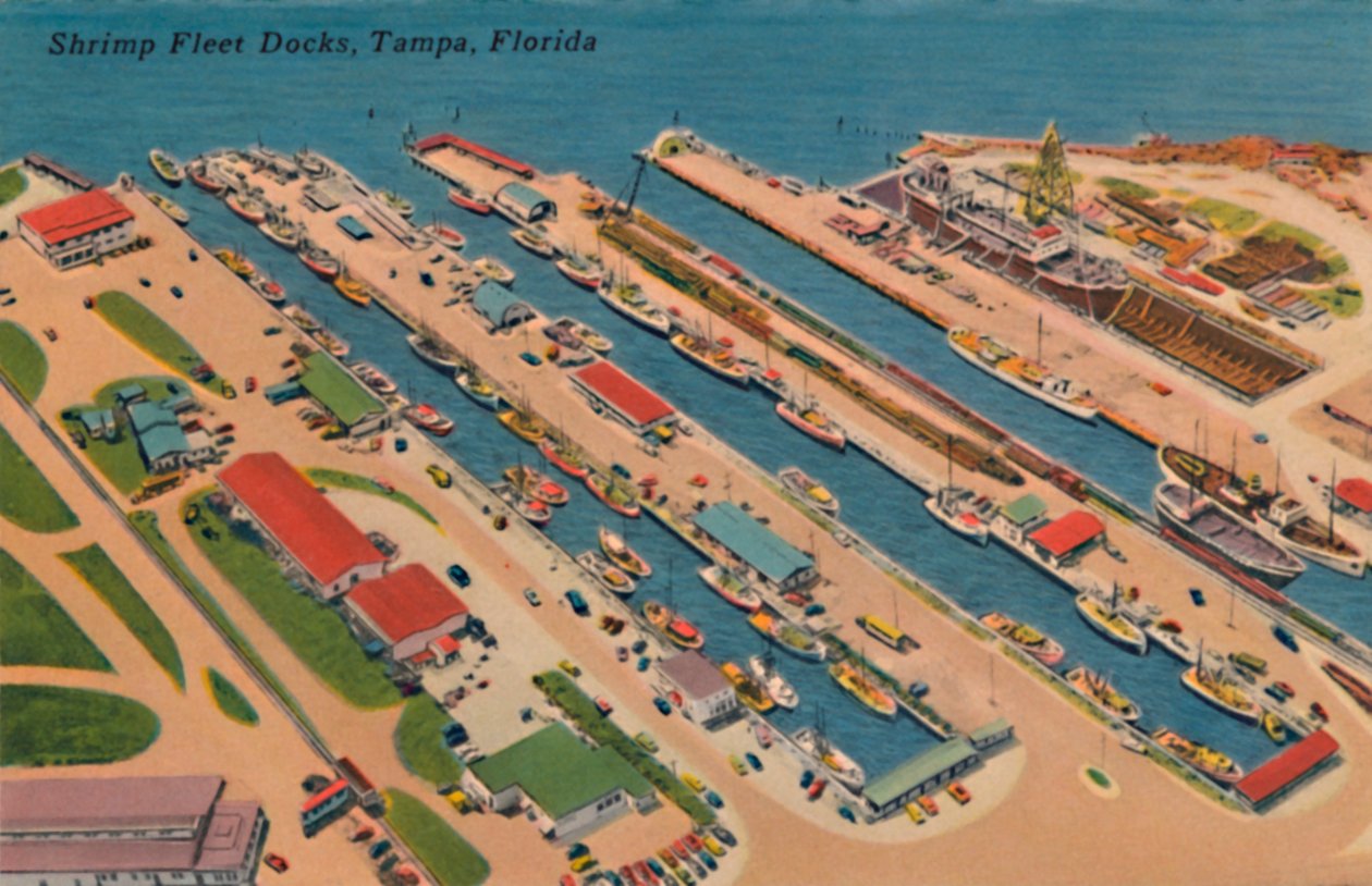 Karides Filosu Rıhtımları, Tampa, Florida, 1940'lar by Unbekannt