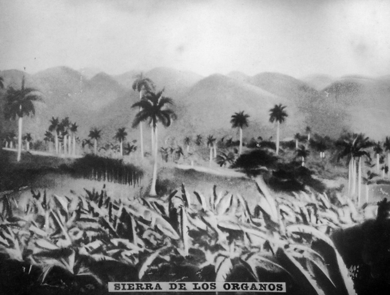 Sierra de los Organos, 1896, 1920