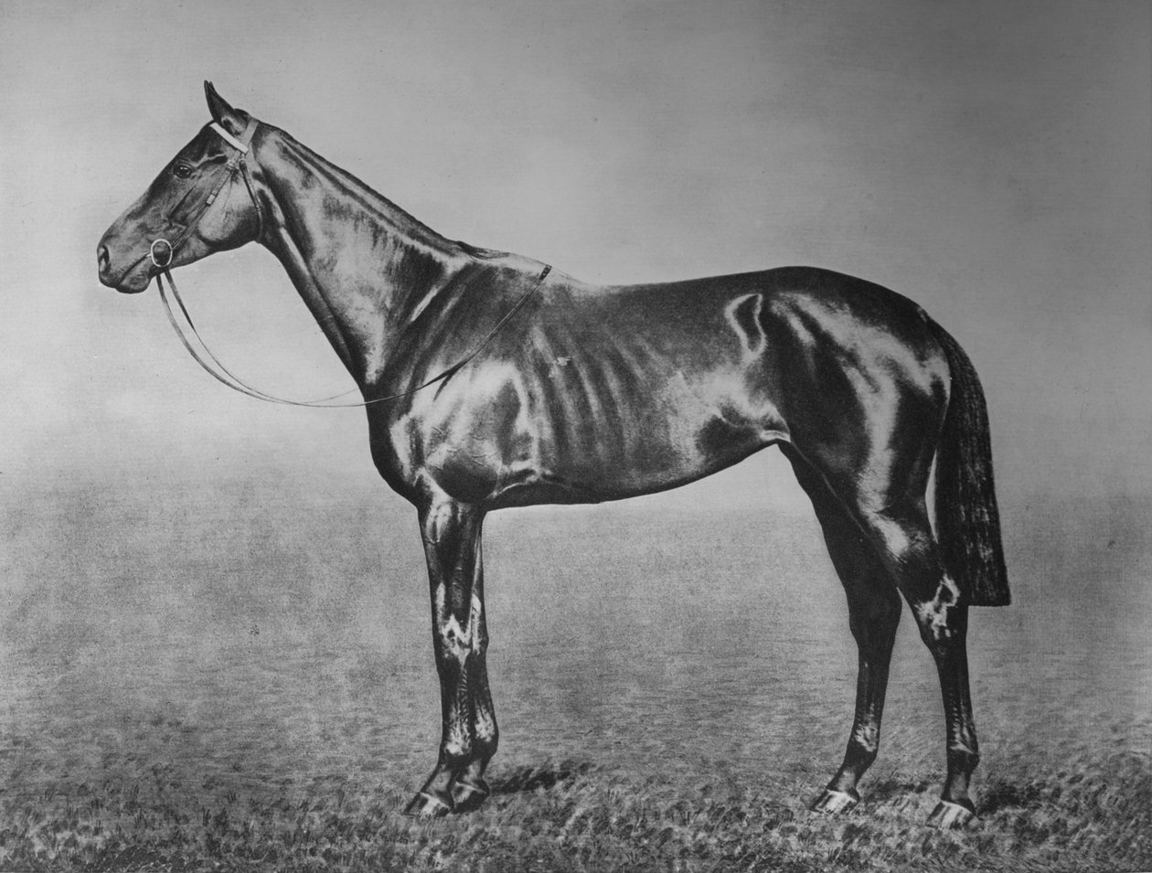 Bayan, 1905-1928, 1911 by Unbekannt