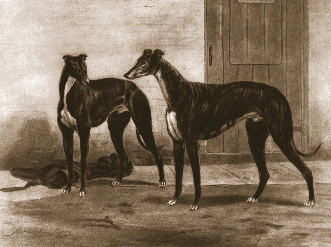 Simonian ve Fullerton, c1891, 1911. by Unbekannt