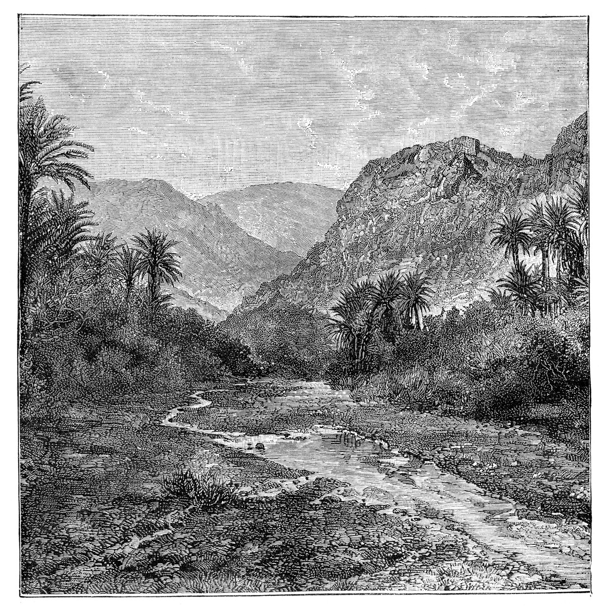 Sina, Mısır, 1895 by Unbekannt