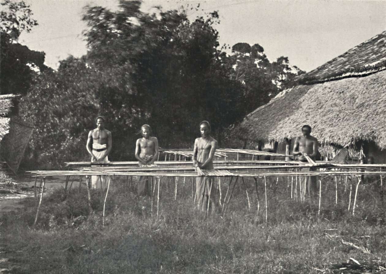 Sinhala tarçın işçileri iş başında, 1926 by Unbekannt