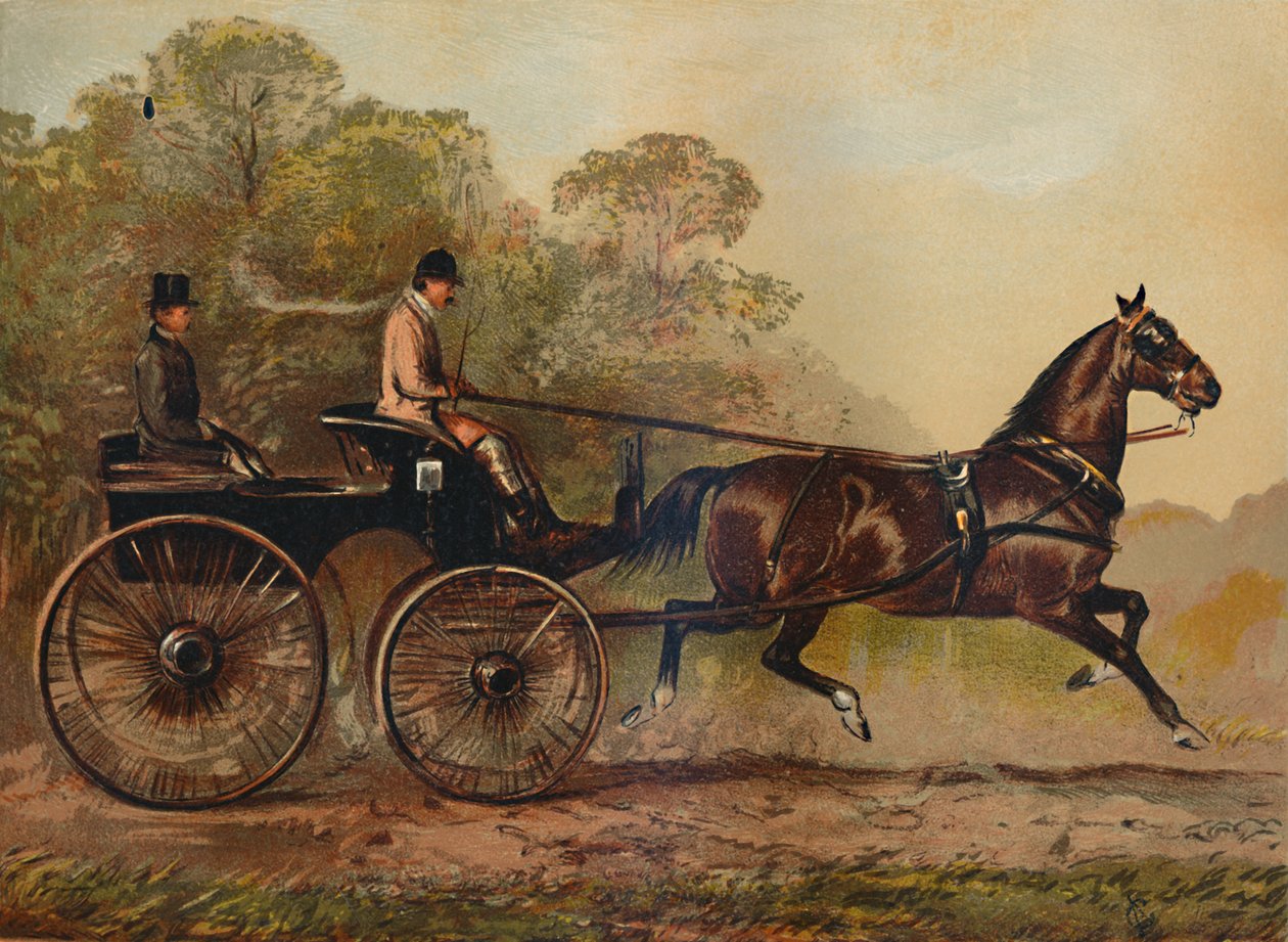 Tek Koşumlu Phaeton Horse Columbine. Charles Baynes Esq.