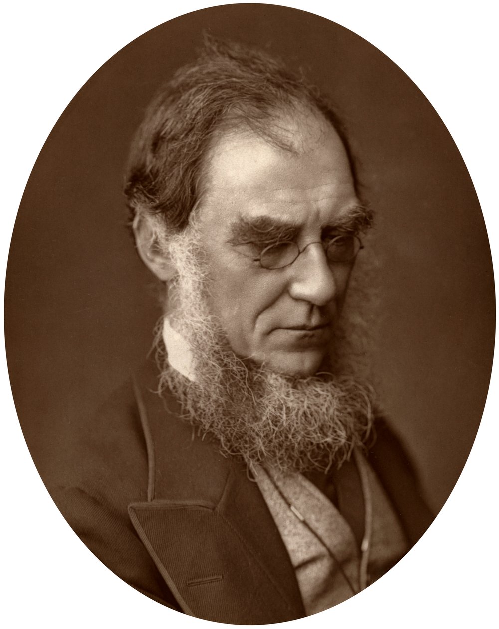 Sir Joseph Dalton Hooker, Kew Kraliyet Bahçeleri Müdürü, 1881 by Unbekannt
