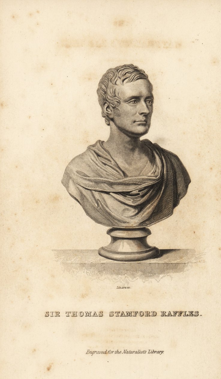 Sir Thomas Stamford Raffles, İngiliz devlet adamı, yazar ve doğa bilimci by Unbekannt