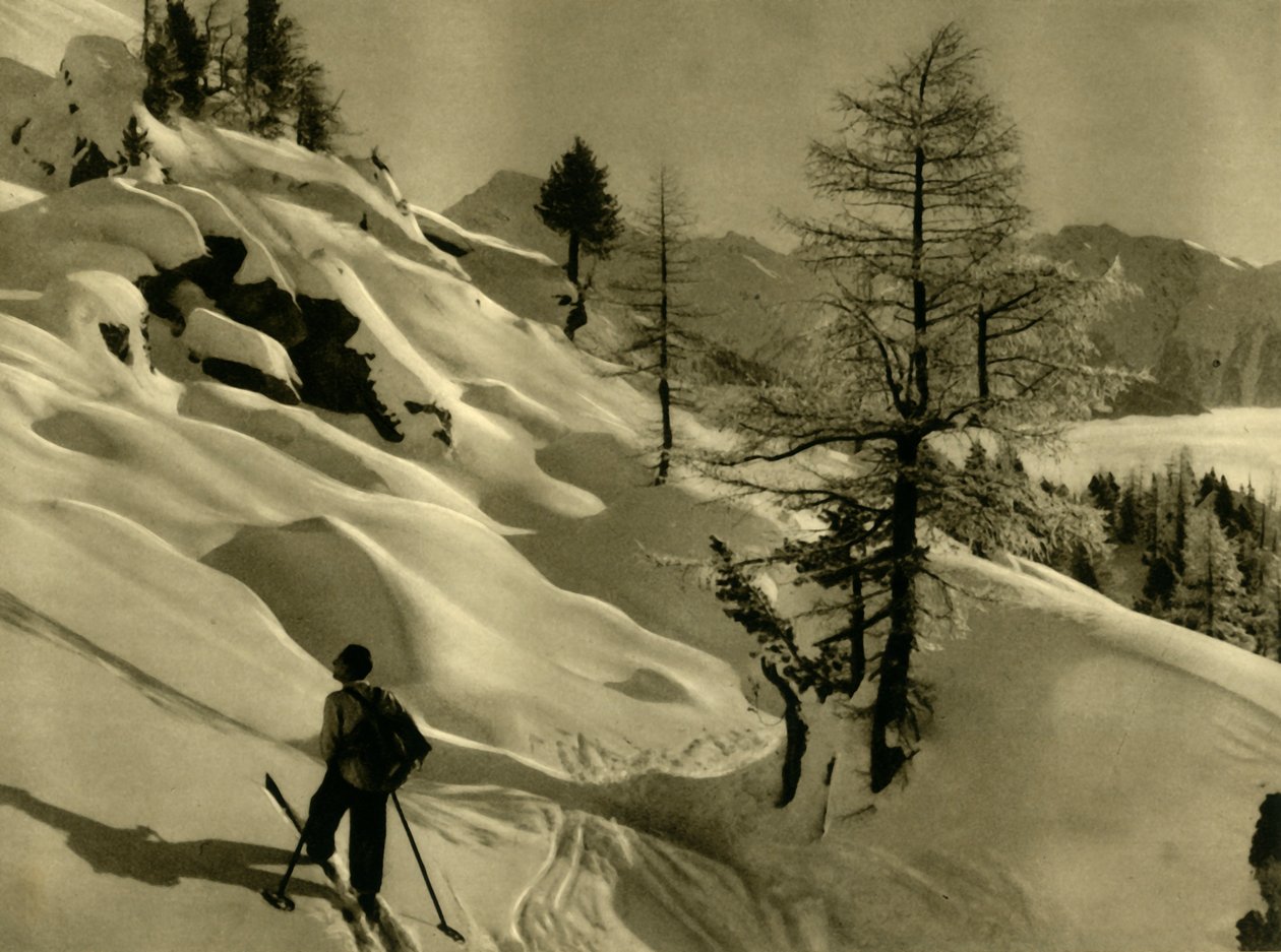 Ankogel