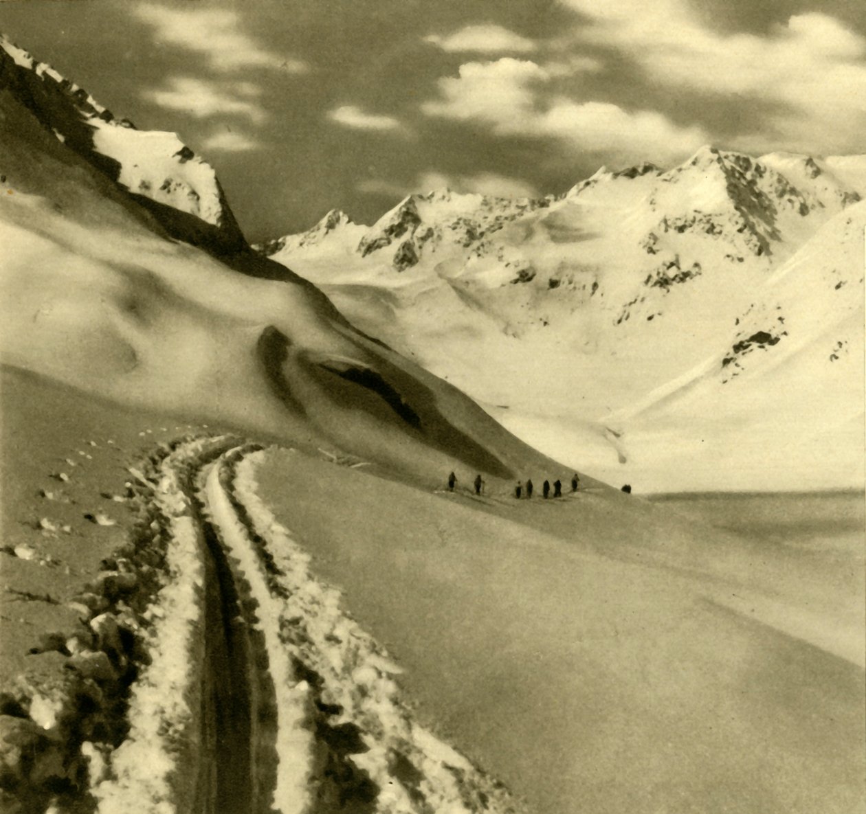 Stubai Alpleri