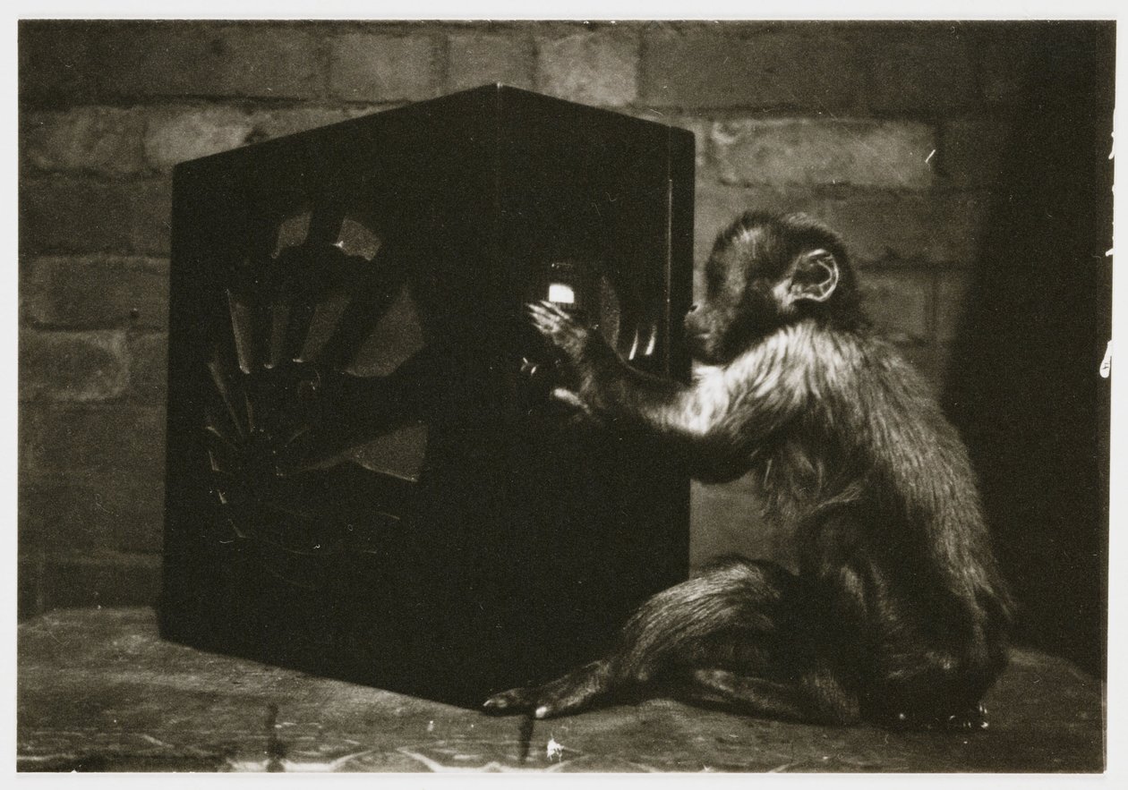 1935