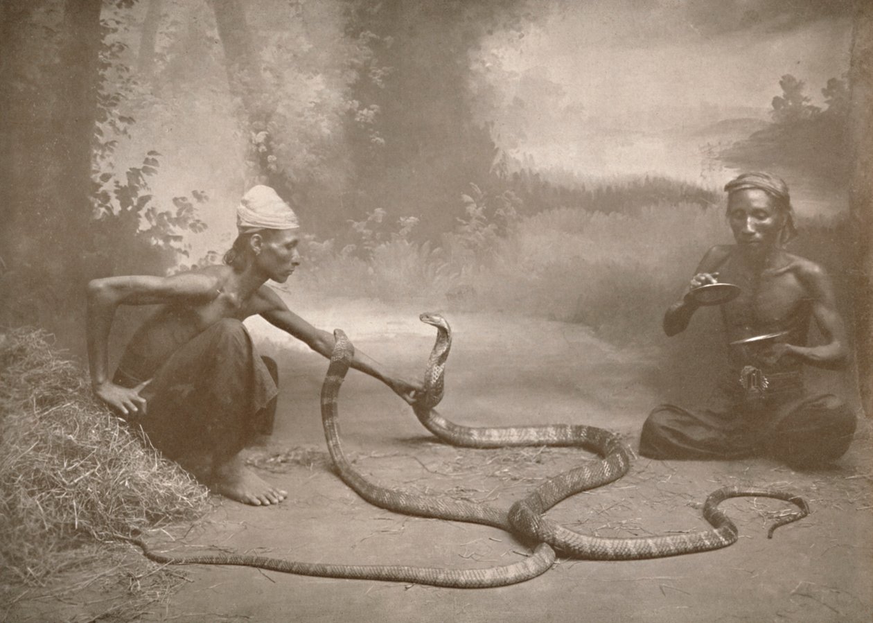 Hamadryads ile Yılan Oynatıcılar Kuy Kobralar, 1900. by Unbekannt