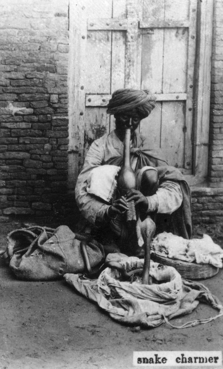 Yılan oynatan kimse, Hindistan, 20. yüzyıl by Unbekannt