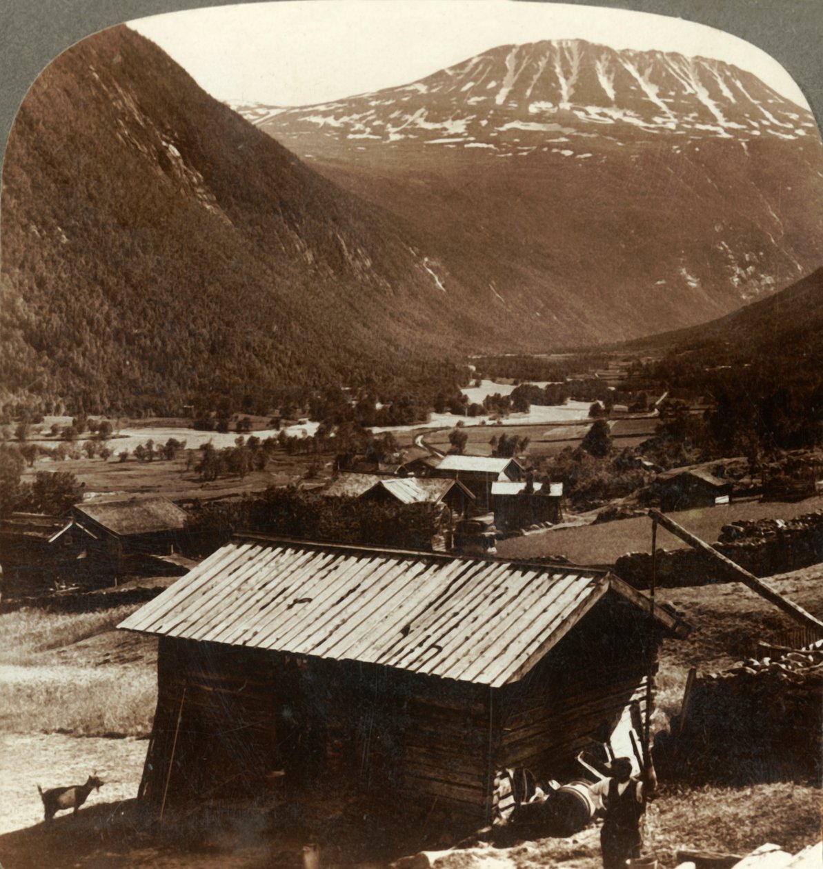Mt. Gausta