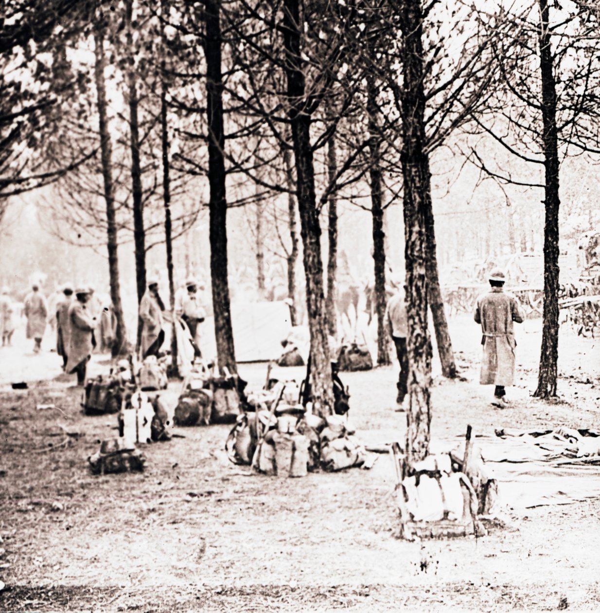 Ormanda askerler ve paketler, c1914-c1918 by Unbekannt