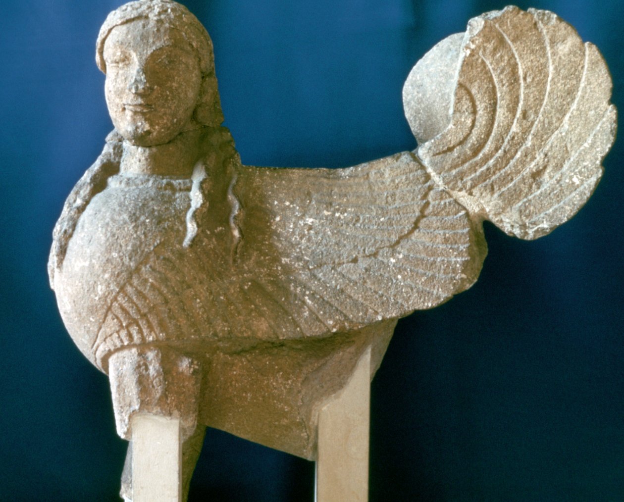 Kıbrıs