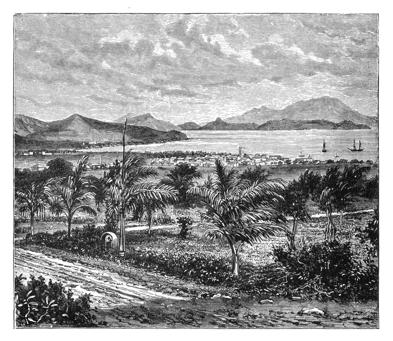 St Kitts, Nevis'ten alınan görünüm, c1890 by Unbekannt