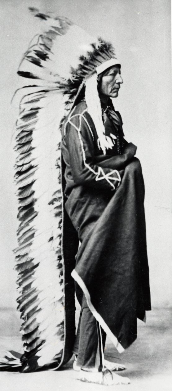 Ayakta Ayı, Dakota Sioux Şefi, Kuzey Amerika Plains Kızılderilileri, c1885-c1890 by Unbekannt
