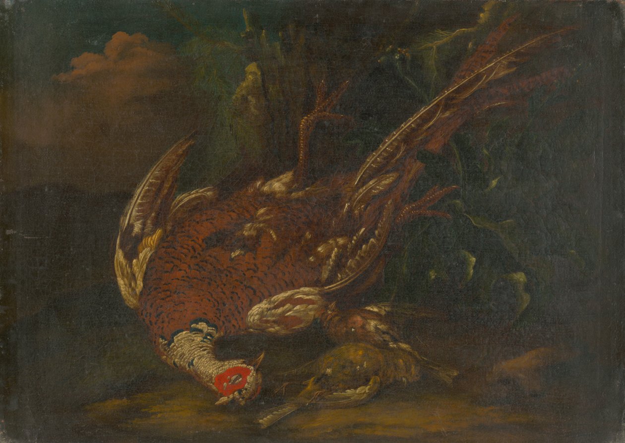 Beç Tavuğu ile Natürmort by Unbekannt