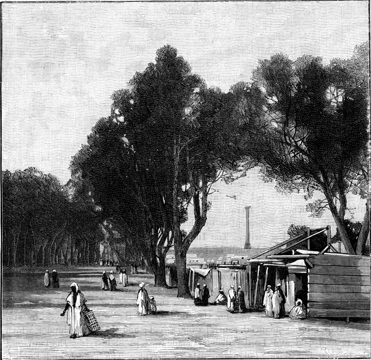 Uzaktan Pompey Sütunu ile sokak sahnesi, İskenderiye, Mısır, 1900 by Unbekannt