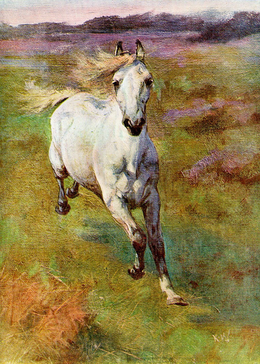 Life for Colt Hunting in the New Forest, 1899 by Unbekannt