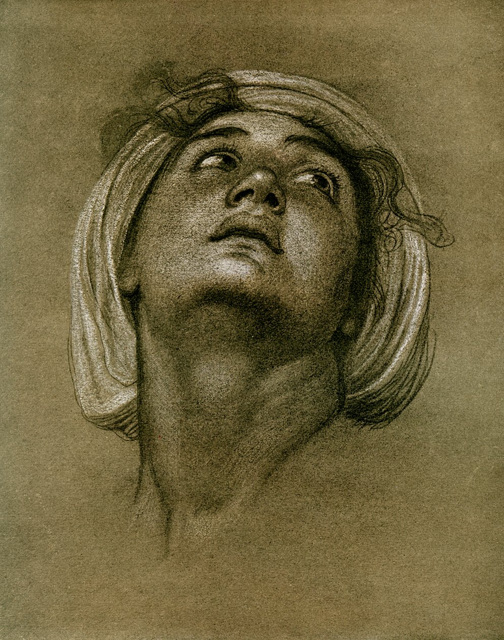 Bir kafanın incelenmesi, 1901 by Unbekannt