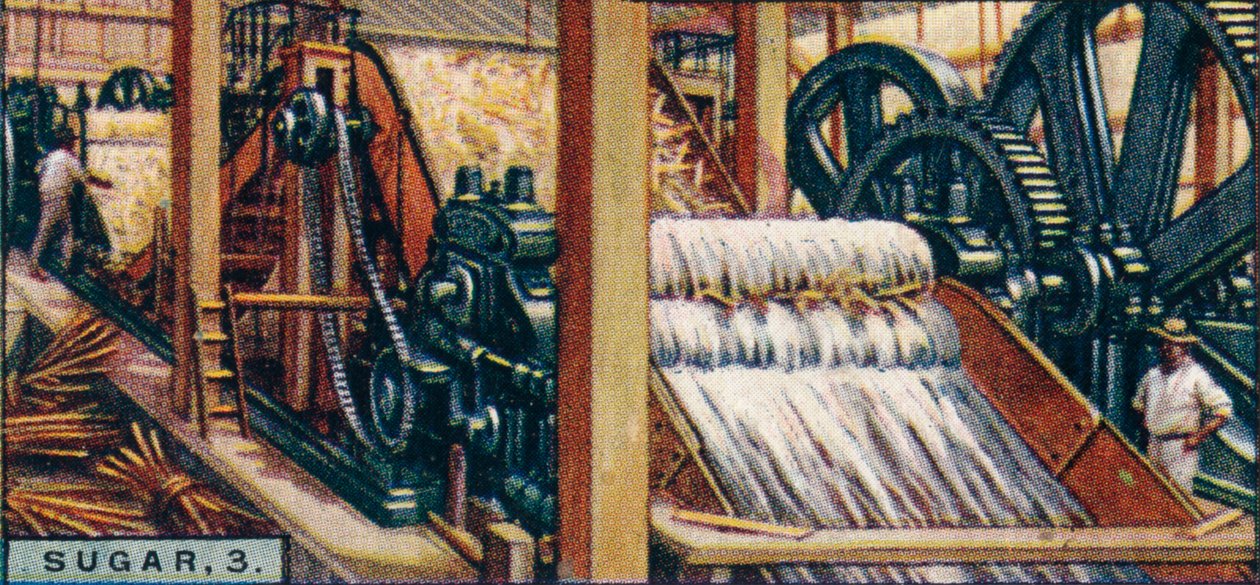 Şeker, 3. Bastonları Ezmek, Java, 1928 by Unbekannt