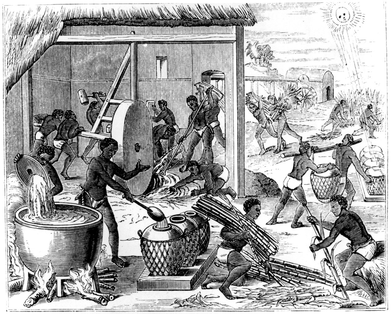 Şeker üretimi, 1873 by Unbekannt