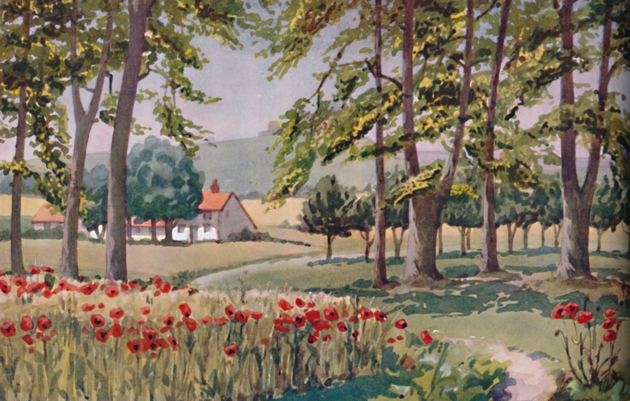 Yaz - 1935 Yılı Boyunca Güneşin Yaptığı Fiziksel, Kimyasal ve Biyolojik Değişiklikler by Unbekannt