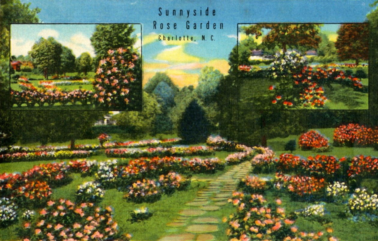 Sunnyside Gül Bahçesi, Charlotte, Kuzey Carolina, 1942. by Unbekannt