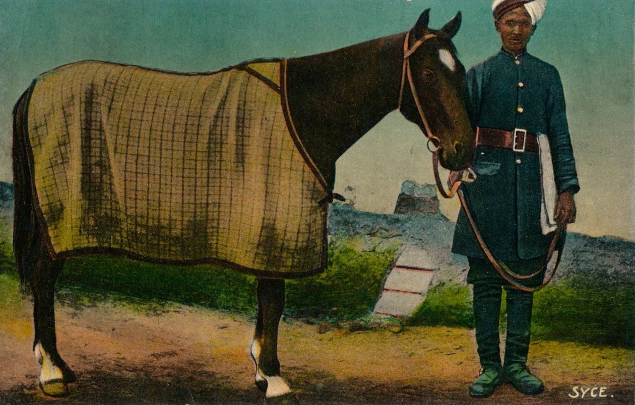 Syce, c1910 by Unbekannt