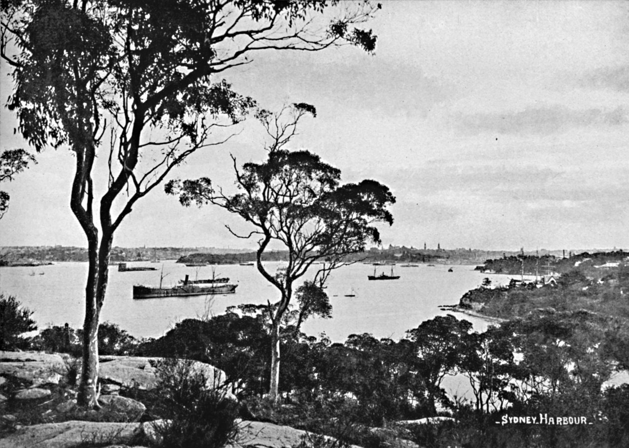 Sidney Limanı, Cremorne Point