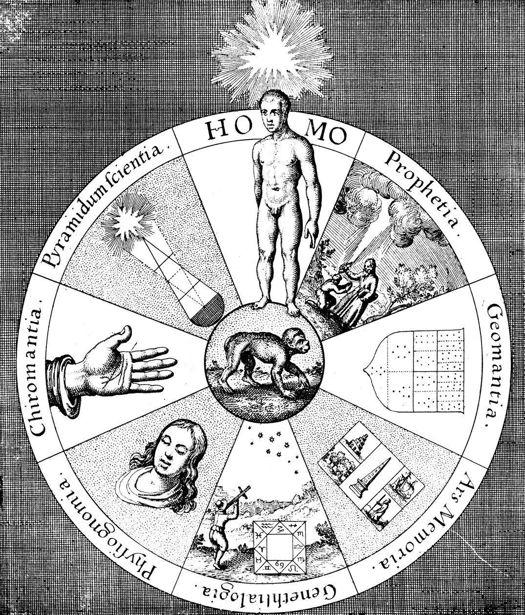 Kâhin sanatlarının özeti, 1617-1619 by Unbekannt