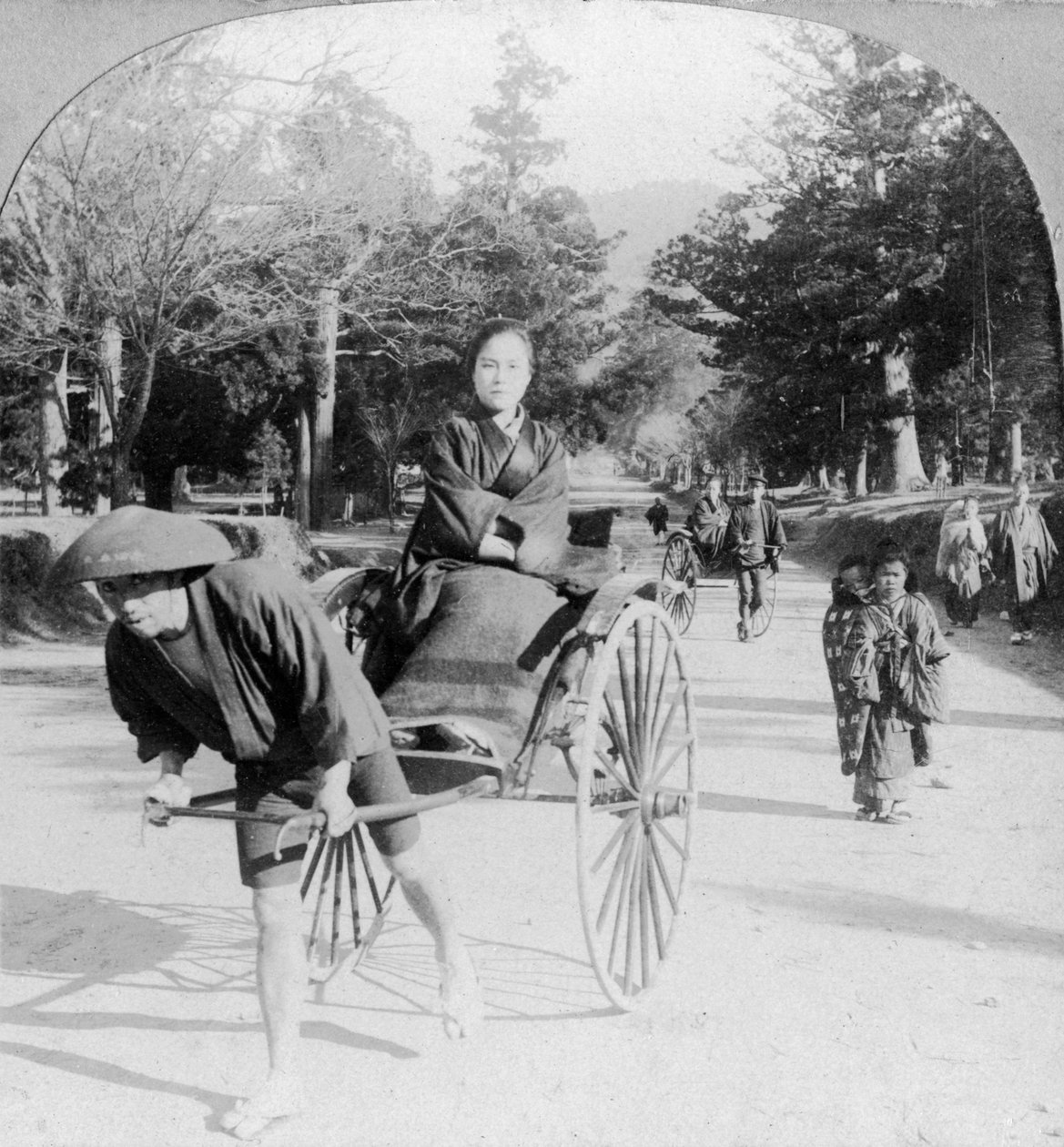 Nara, Japonya
