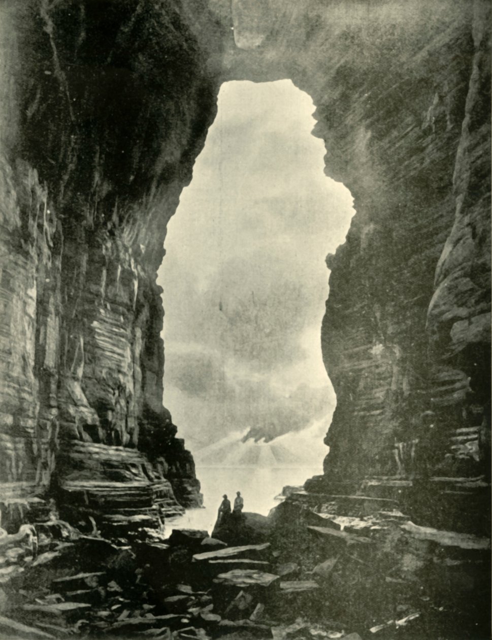 Tasmans Kemeri, Kartal Şahin Boyun, 1901. by Unbekannt