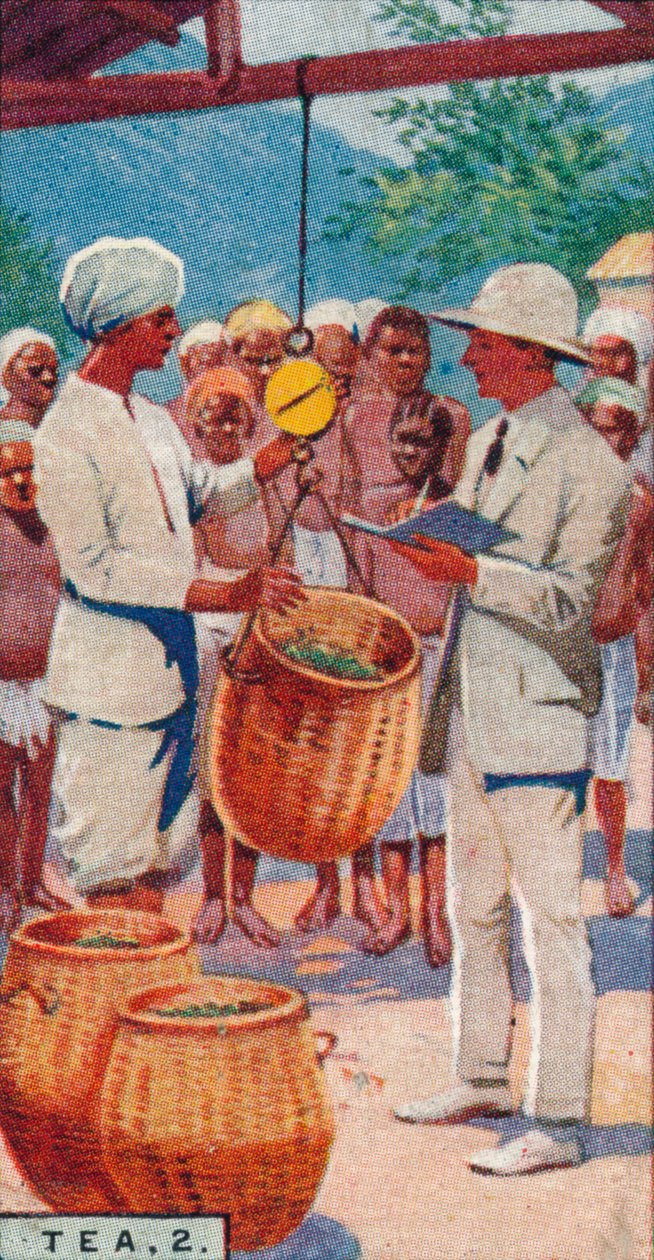 Çay, 2. - Topakların Tartılması, Seylan, 1928 by Unbekannt