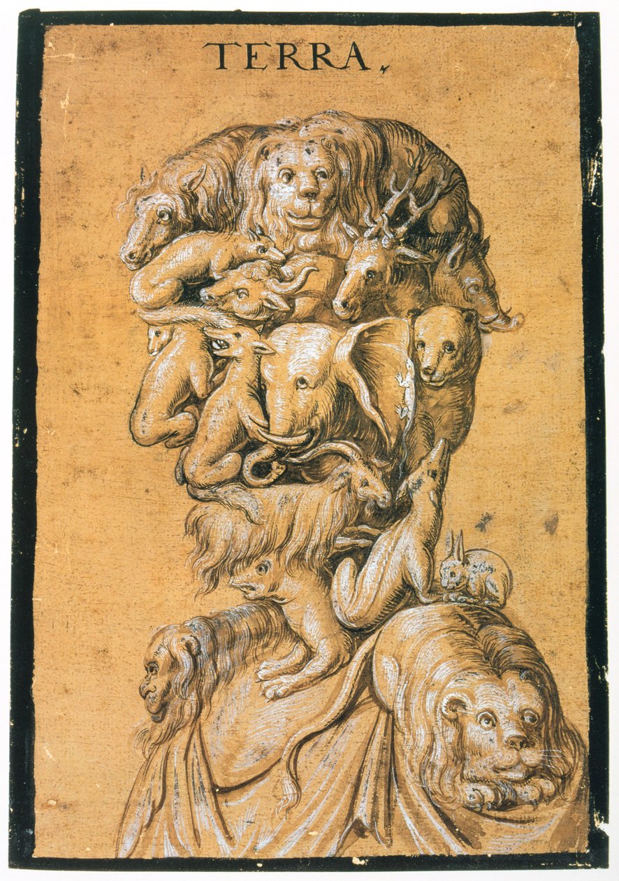 Terra Arazisi, c1600 by Unbekannt