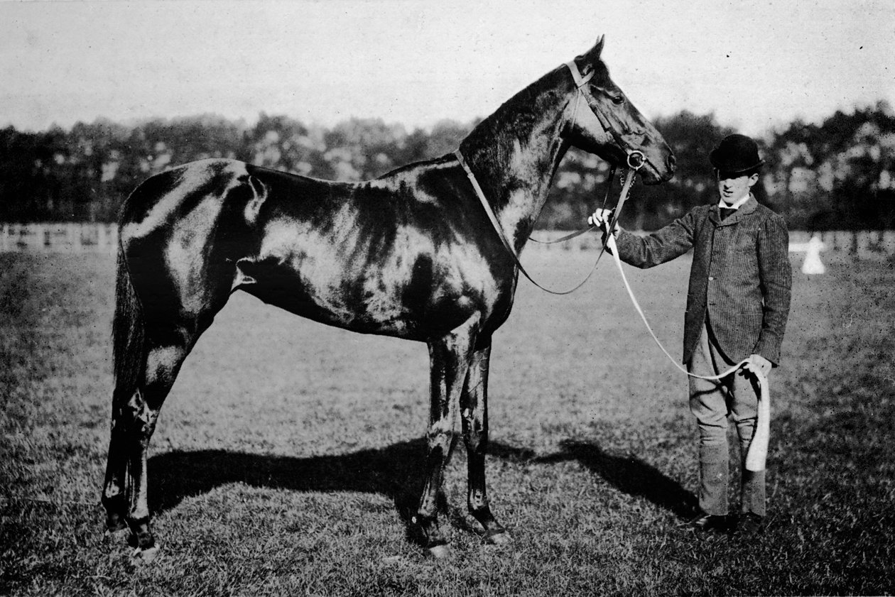 Tayland, 1911 by Unbekannt