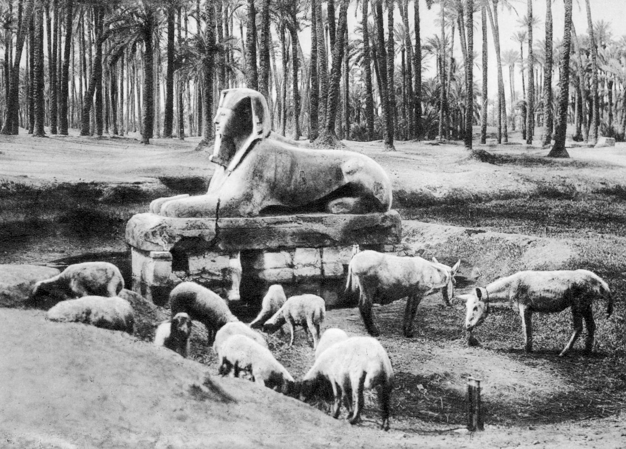 Alabaster Sfenks, Kahire, Mısır, c1920