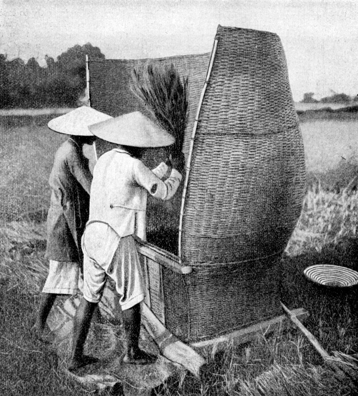 Annamese'nin pirinç toplama ve harmanlama yöntemi, Annam, Vietnam, 1922 by Unbekannt