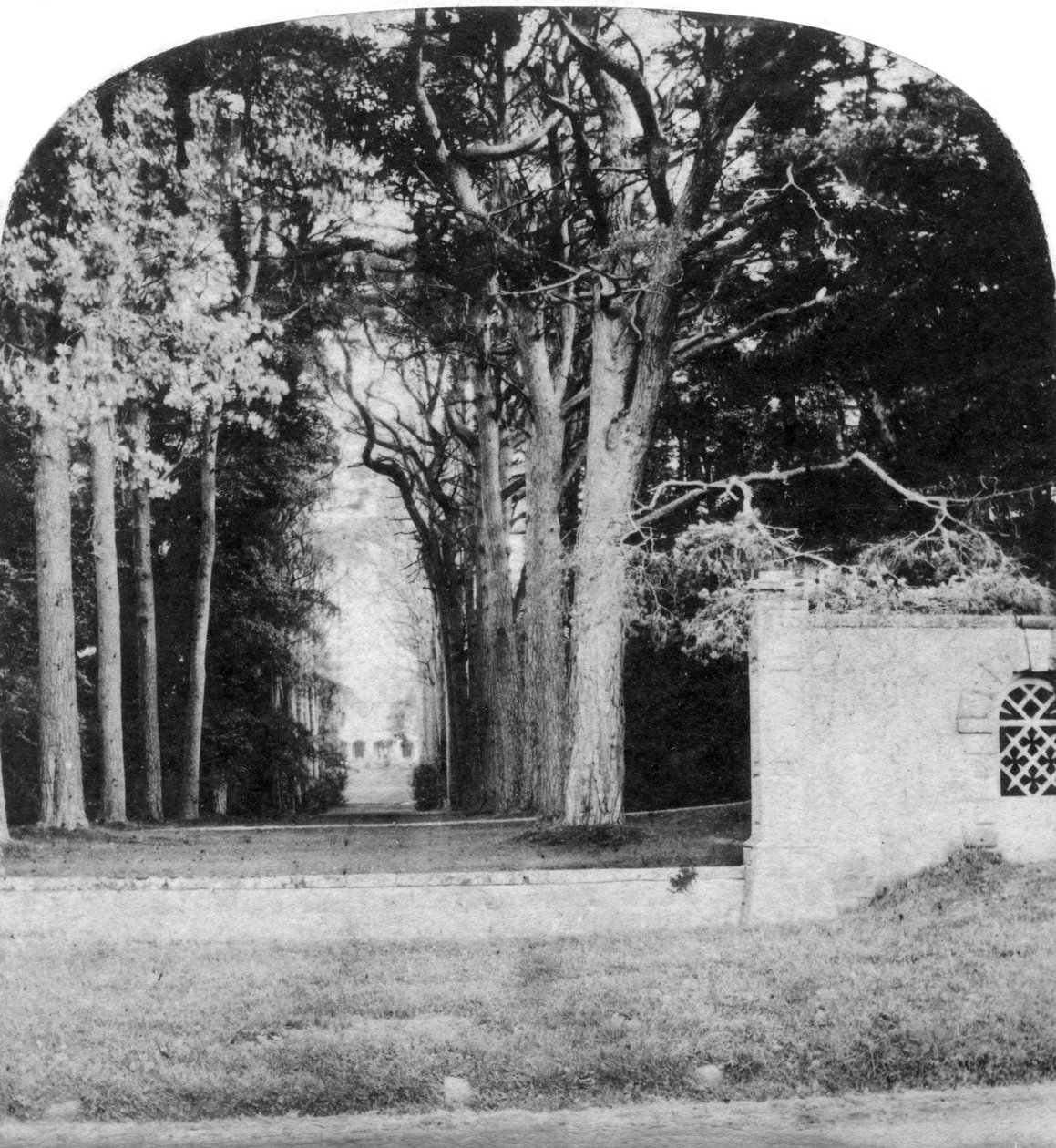 The Avenue, Guys Cliff, Warwick, 20. yüzyılın başlarında by Unbekannt